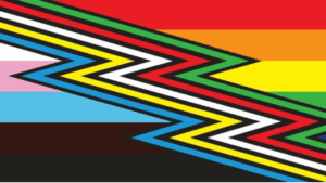 inclusive disability flag